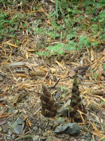 /album/galeria/dsc04183-jpg/